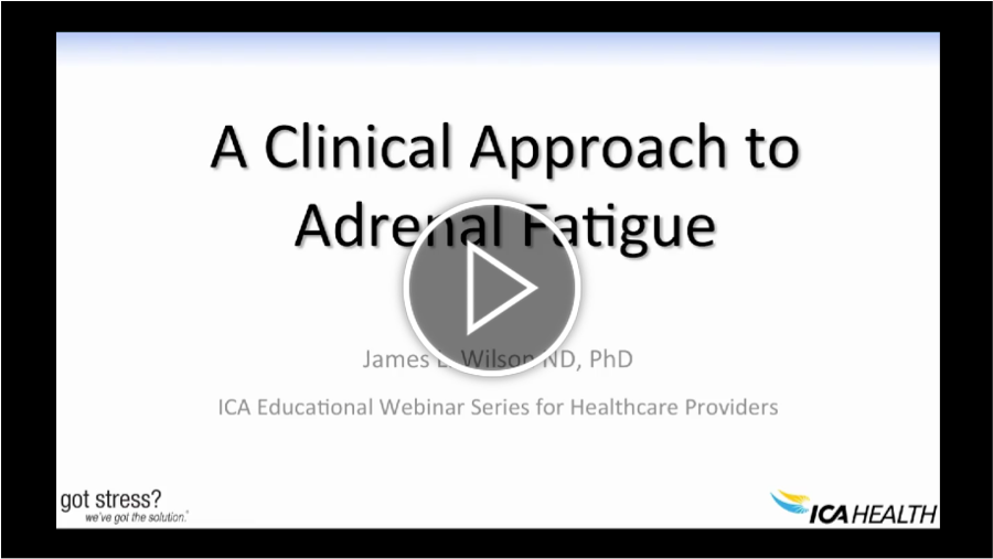 A Clinical Approach to Adrenal Fatigue (Webinar On-Demand) by Dr. Wilson