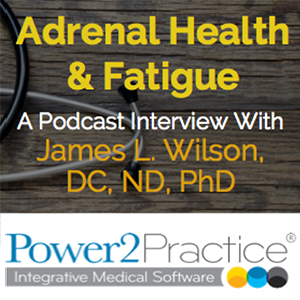 Adrenal Health & Fatigue – A Podcast Interview With James L. Wilson, DC, ND, PhD