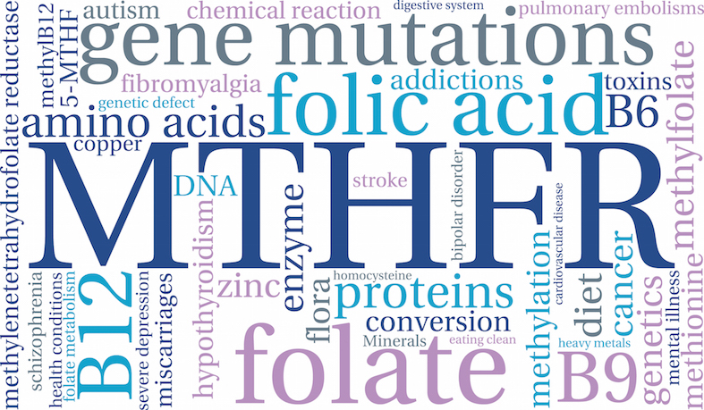 The Importance of MTHFR Genotyping