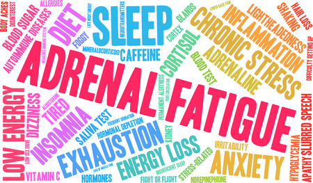 Human Response Patterns to Stress: Paths to Adrenal Fatigue